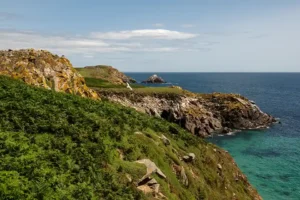 View of the cliffs on Great Saltee Island